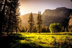 Sunlit meadow with trees and mountains