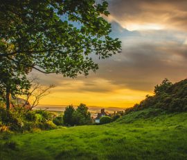 Golden sunset over a grassy countryside Countryside sunset with trees and fields