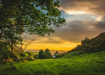 Golden sunset over a grassy countryside Countryside sunset with trees and fields