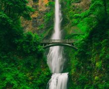 Tall waterfall with bridge above Tall waterfall and bridge in green forest