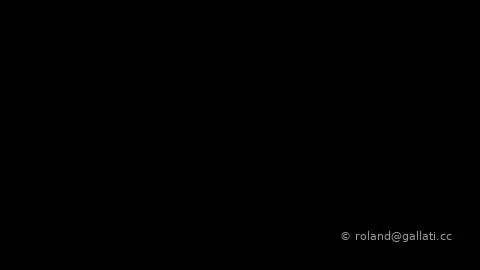 Black_Landscape.jpg