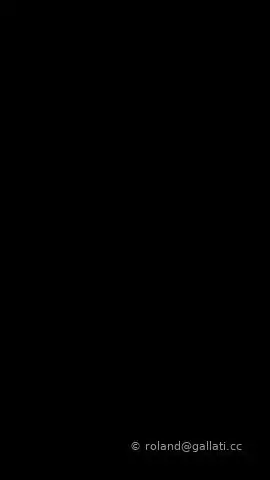 Black_Portrait.jpg
