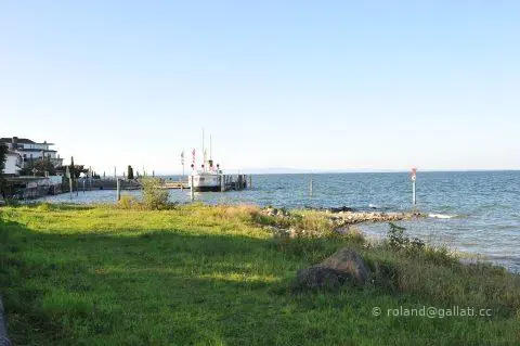 DSC_0343.JPG