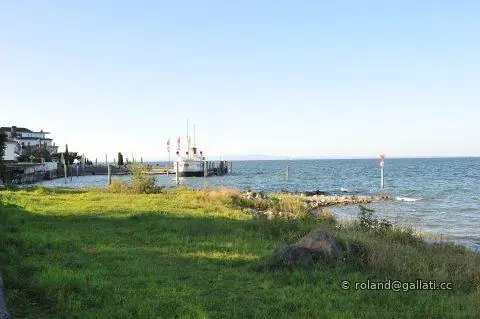 DSC_0343.JPG