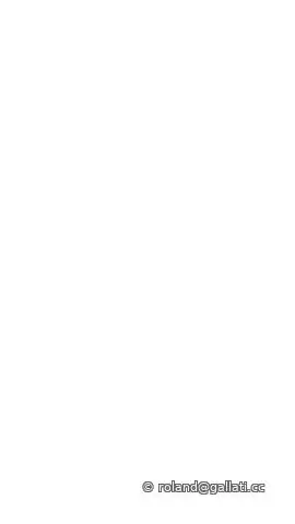 White_Portrait.jpg