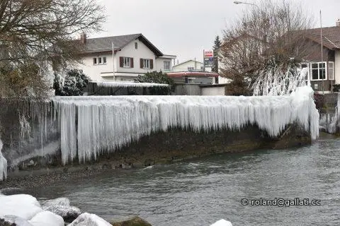 UGA_3164.JPG